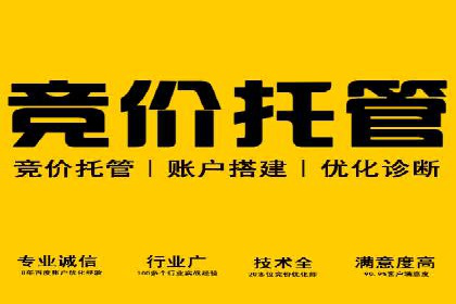 知名SEM服务公司成功案例分享